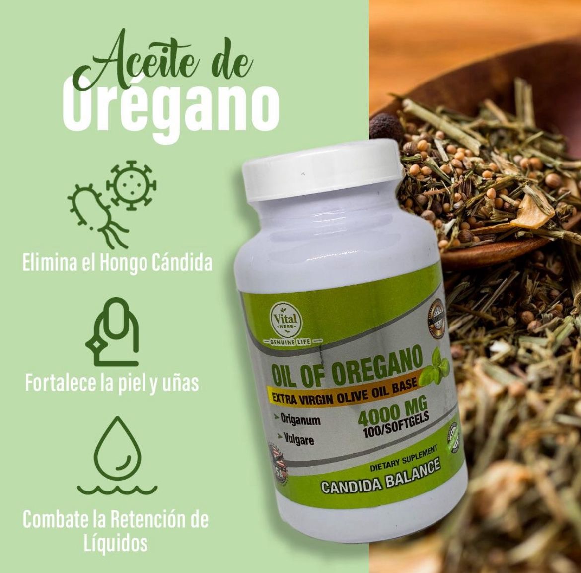 Orégano