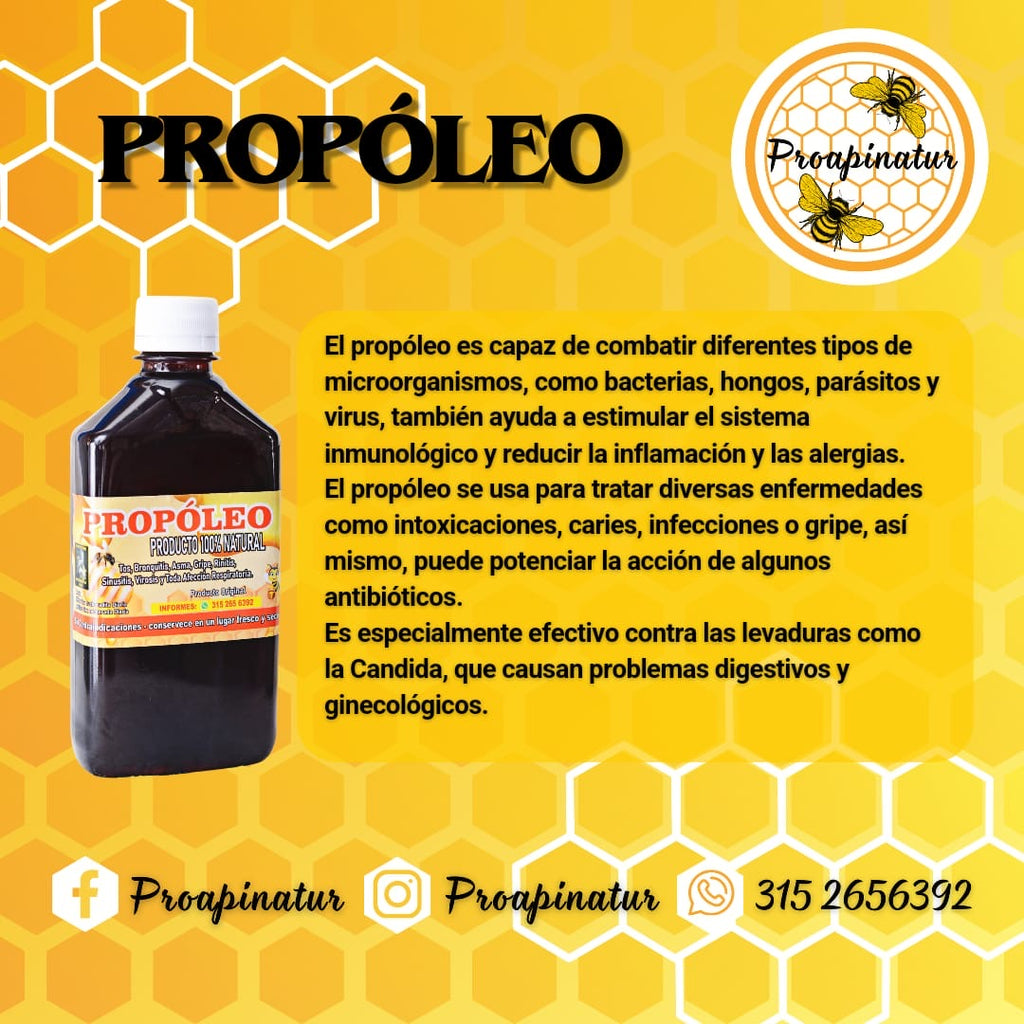 Melipropolis natural | Suplemento alimenticio apícola