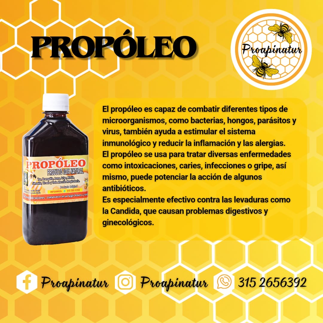 Melipropolis natural | Suplemento alimenticio apícola