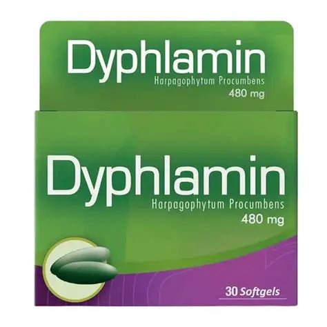 Dyphlamin 480mg (Standardized Harpagophytum to 20% Harpagosides)